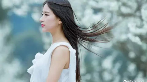 张本智WTT总决赛夺冠